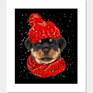 Rottweiler Wearing Red Hat And Scarf In Snow Christmas Posters and Art